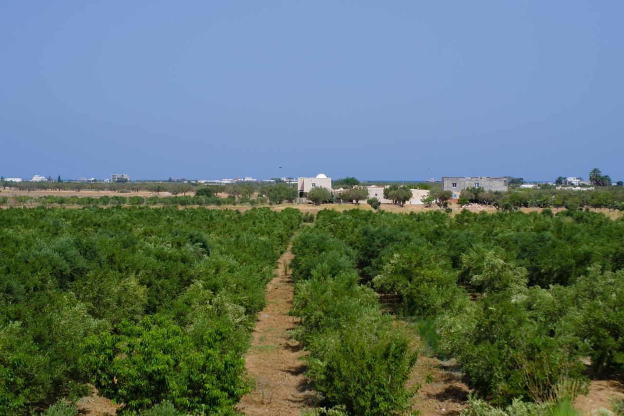 Villa Olivia, Yasmine Hammamet, Bouficha Exterior foto