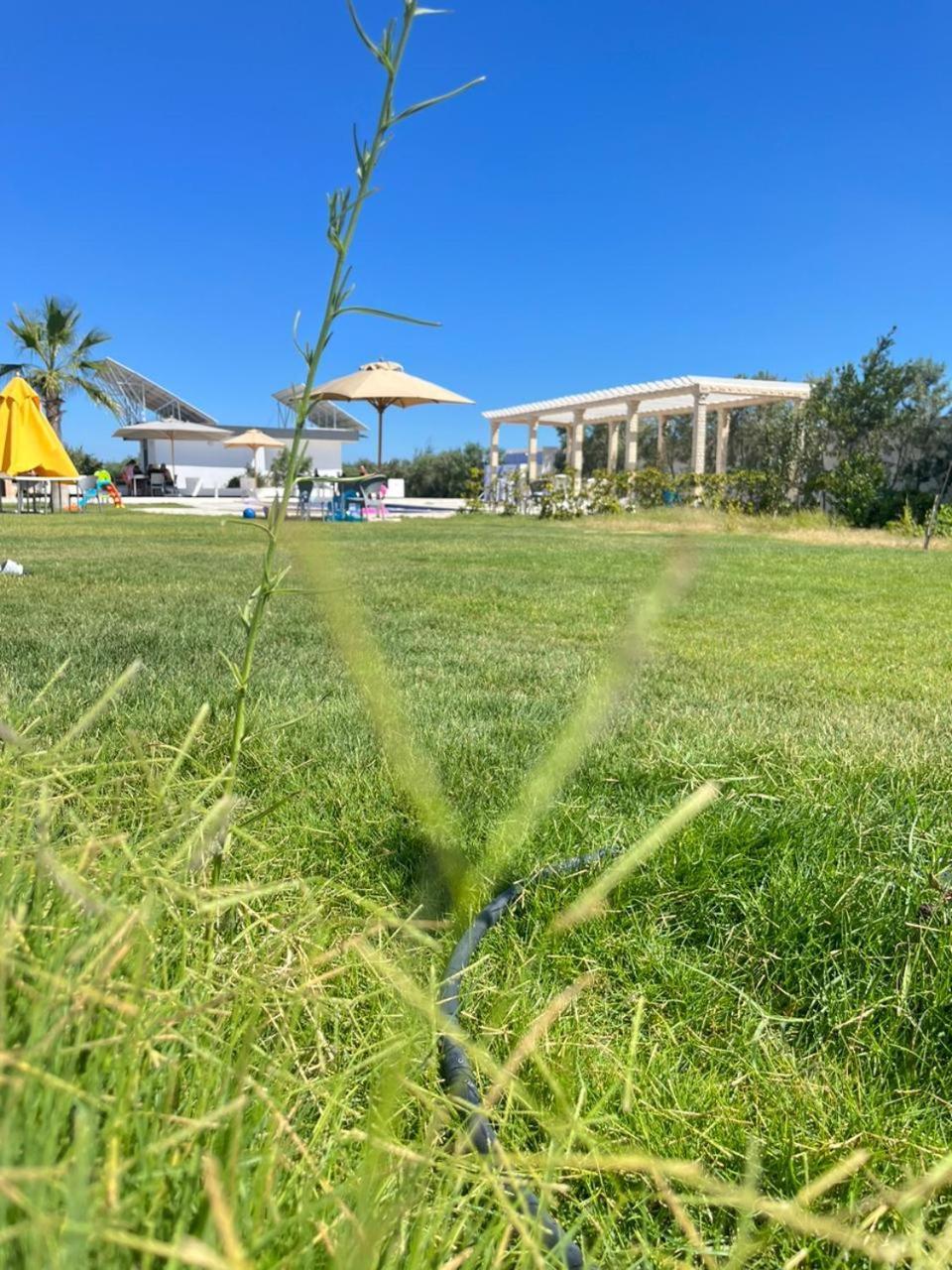 Villa Olivia, Yasmine Hammamet, Bouficha Exterior foto