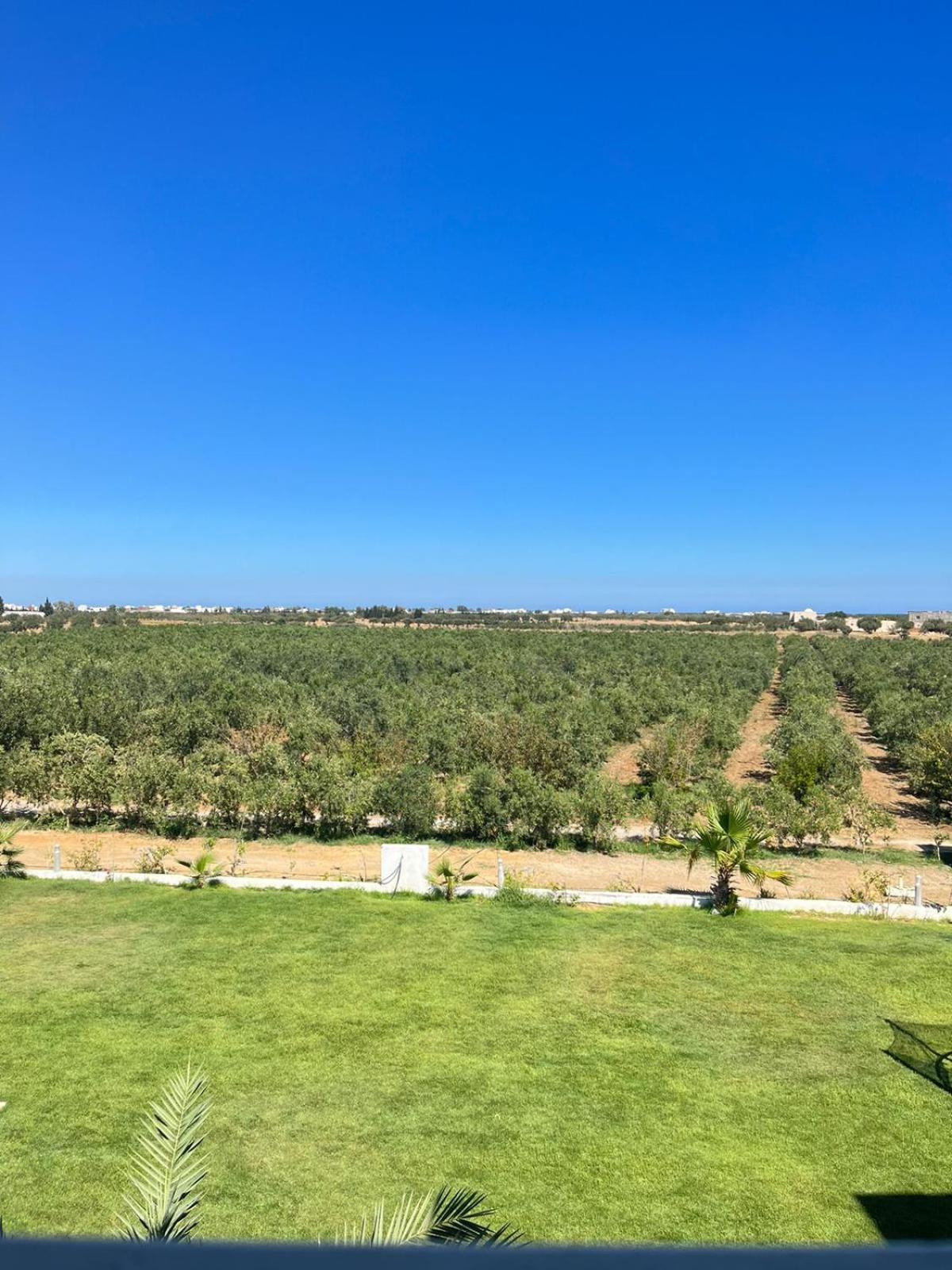 Villa Olivia, Yasmine Hammamet, Bouficha Exterior foto