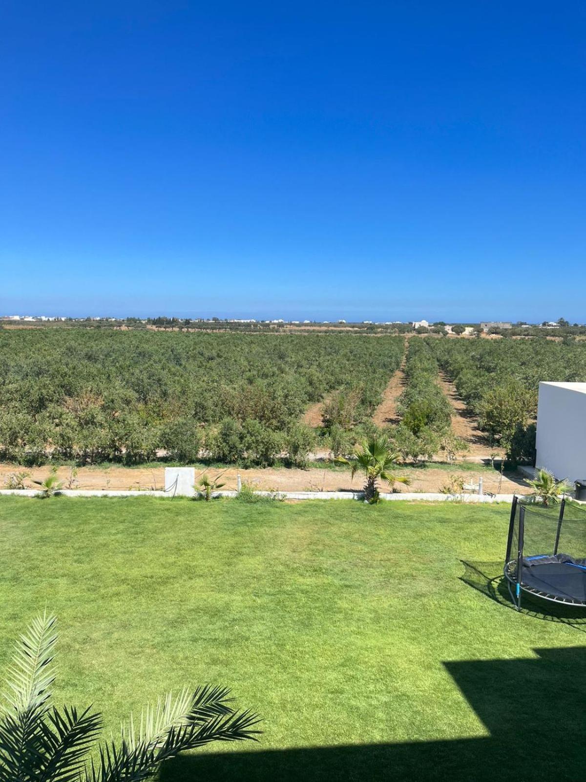 Villa Olivia, Yasmine Hammamet, Bouficha Exterior foto