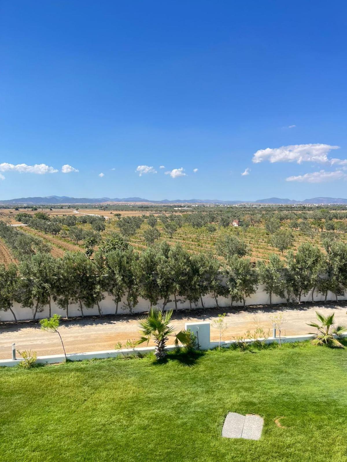 Villa Olivia, Yasmine Hammamet, Bouficha Exterior foto